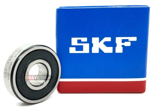  6092RS SKF