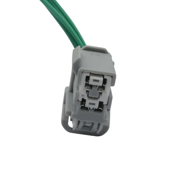  11101 WP
