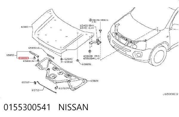  0155300541 Nissan/Infiniti