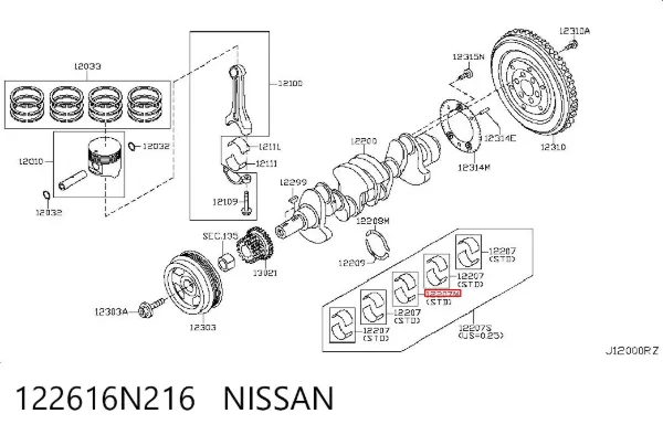  122616N216 Nissan/Infiniti