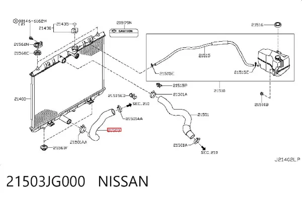 Нижний шлаг радиатора охлаждения 21503JG000 Nissan/Infiniti