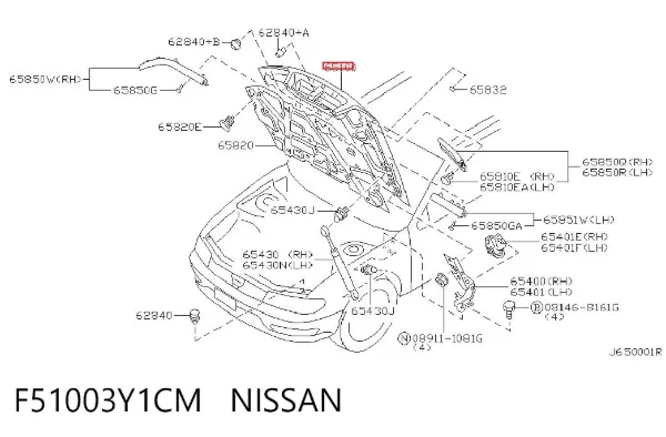 Капот F51003Y1CM Nissan/Infiniti