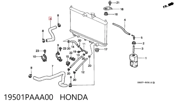 Нижний шлаг радиатора охлаждения 19501PAAA00 Honda