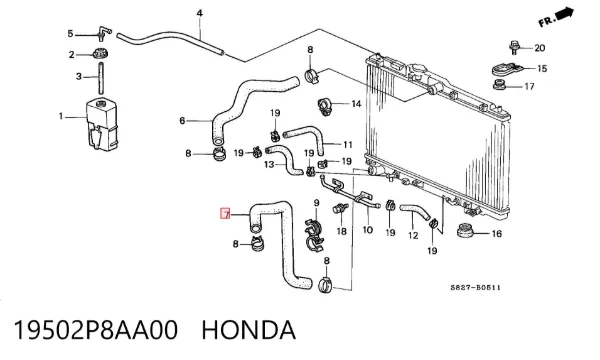 Нижний шлаг радиатора охлаждения 19502P8AA00 Honda