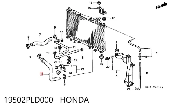 Нижний шлаг радиатора охлаждения 19502PLD000 Honda