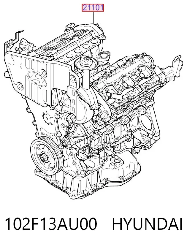 Двигатель 102F13AU00 Hyundai/Kia