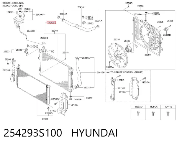 Бачок системы охлаждения 254293S100 Hyundai/Kia
