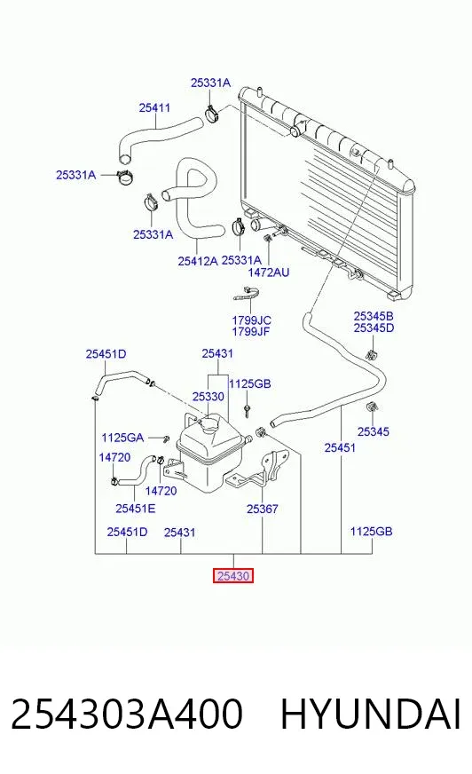 Бачок системы охлаждения 254303A400 Hyundai/Kia