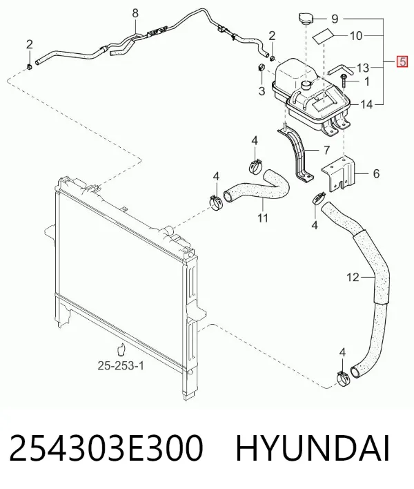 Бачок системы охлаждения 254303E300 Hyundai/Kia