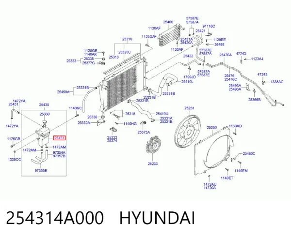 Бачок системы охлаждения 254314A000 Hyundai/Kia