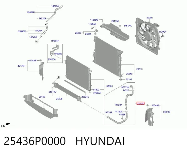 25436P0000 Hyundai/Kia