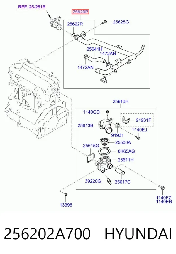 Патрубок системы охлаждения 256202A700 Hyundai/Kia