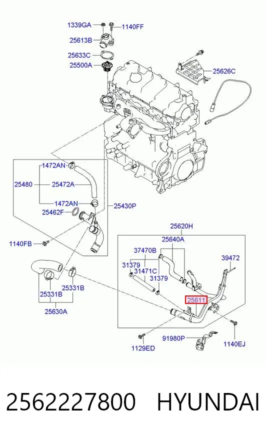  2562227800 Hyundai/Kia
