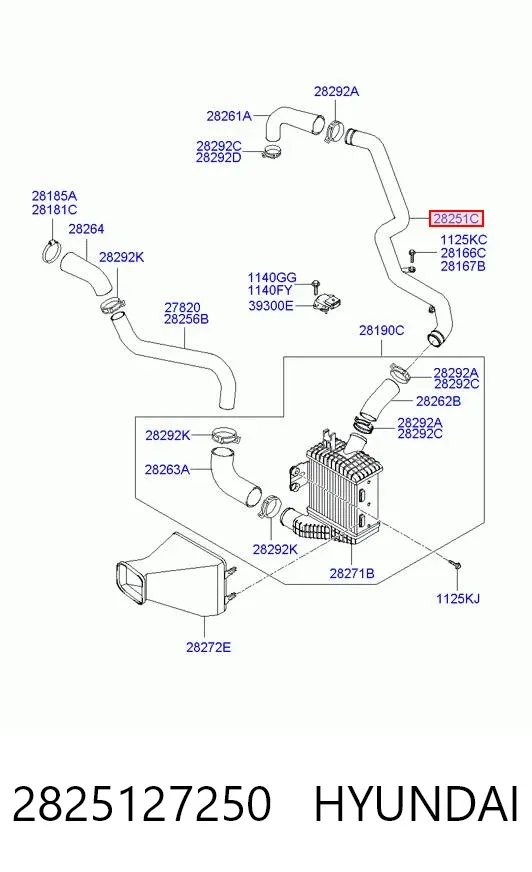 Патрубок интеркулера 2825127250 Hyundai/Kia