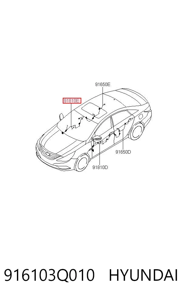  916103Q010 Hyundai/Kia