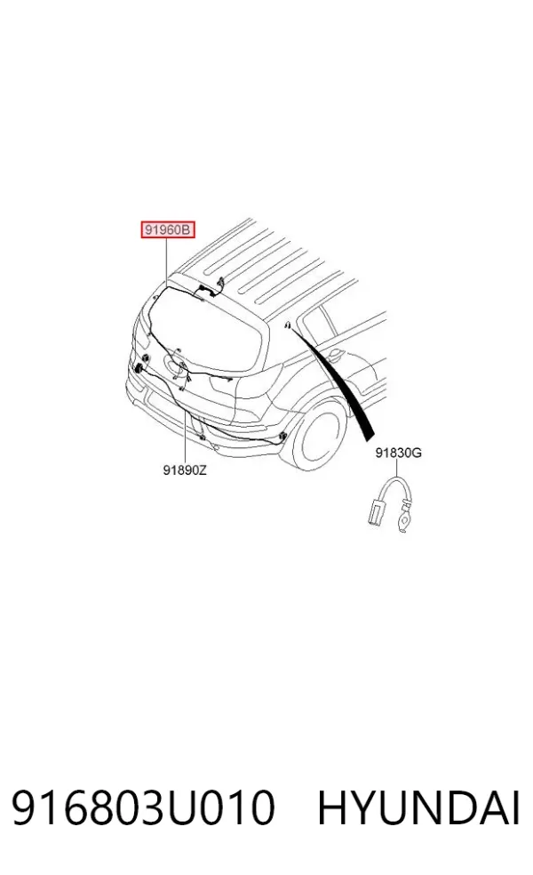  916803U010 Hyundai/Kia