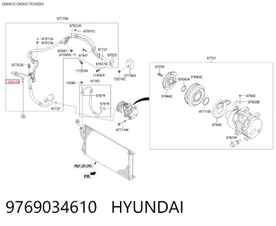 Кольцо уплотнительное шланга компрессора обратного HYUNDAI 9769034610