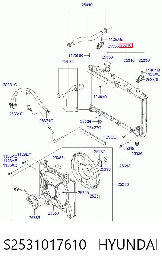 Радиатор S2531017610 Hyundai/Kia