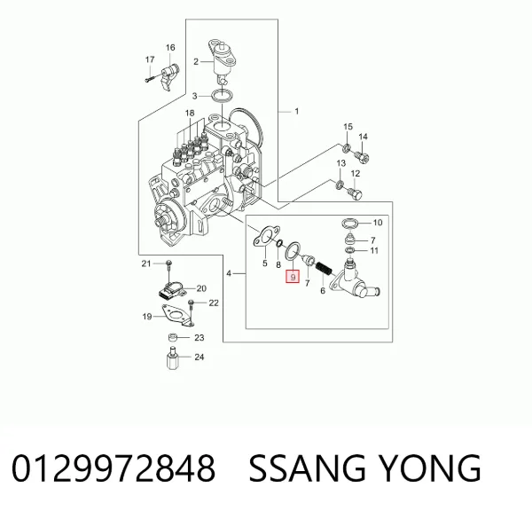 Уплотнитель топливного насоса 0129972848 Ssang Yong
