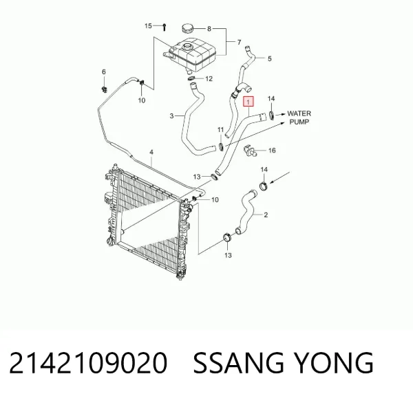 Нижний шлаг радиатора охлаждения 2142109020 Ssang Yong