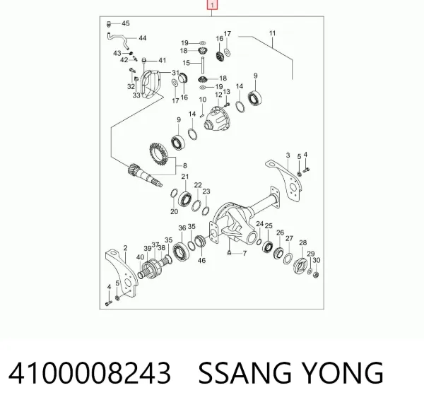  4100008243 Ssang Yong