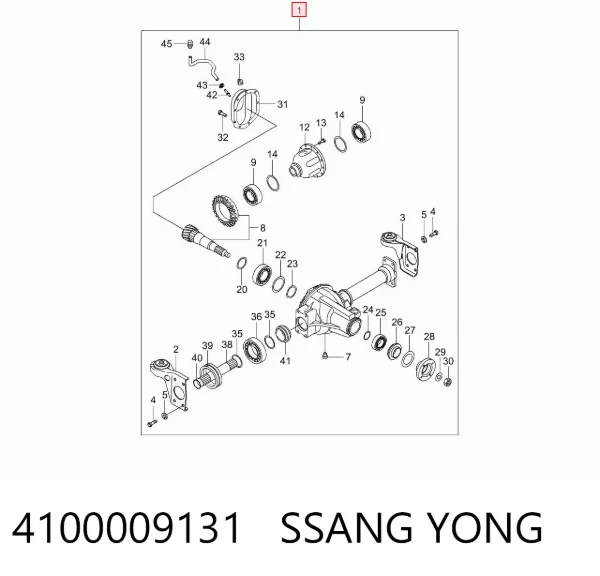  4100009131 Ssang Yong