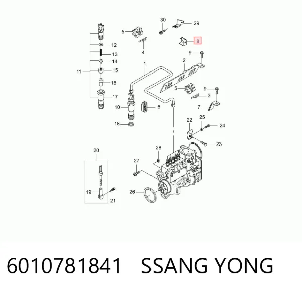  6010781841 Ssang Yong