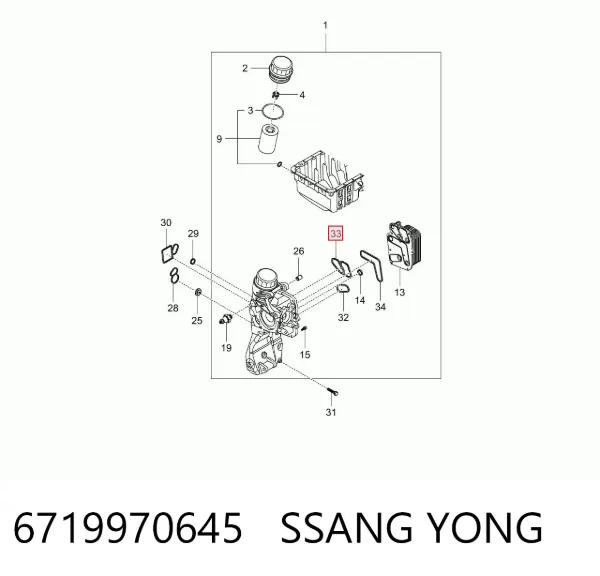 Прокладка адаптера масляного холодильника 6719970645 Ssang Yong