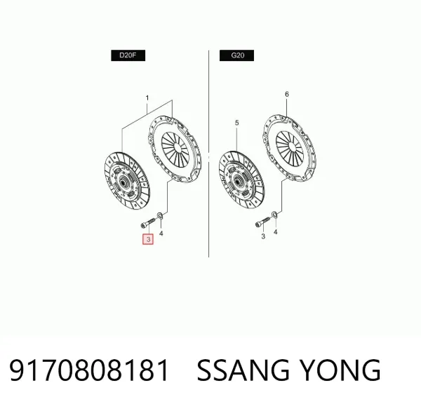  9170808181 Ssang Yong