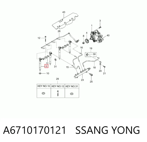 Топливные форсунки A6710170121 Ssang Yong
