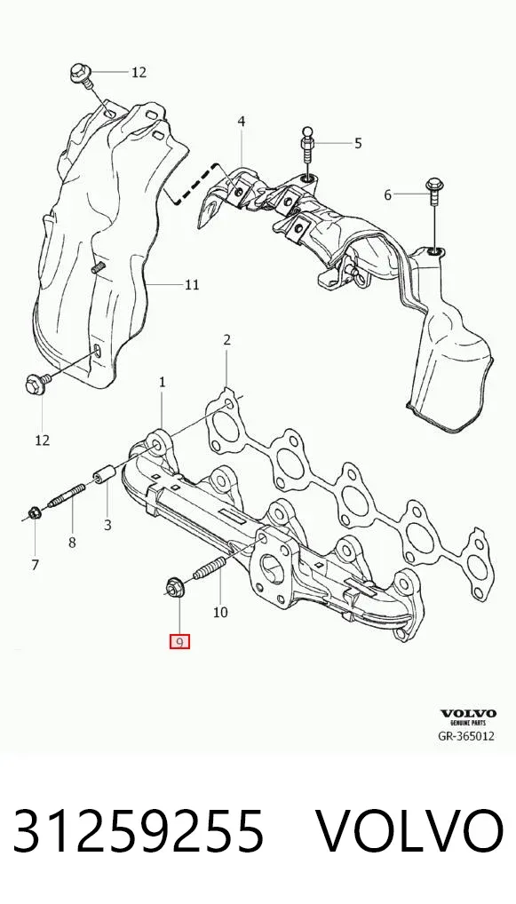 Гайка выпускного коллектора 31259255 Volvo