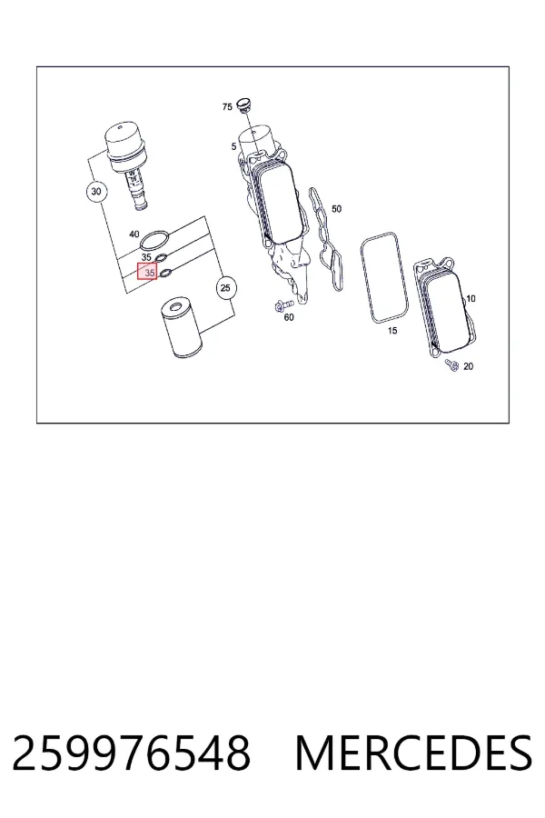  259976548 Mercedes