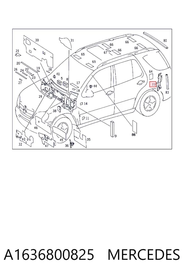 A1636800825 Mercedes