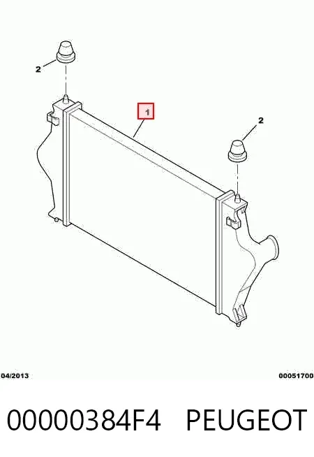 Интеркулер 00000384F4 Peugeot/Citroen