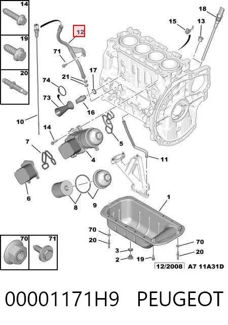 Направляющая индикатора уровня масла в двигателе 00001171H9 Peugeot/Citroen