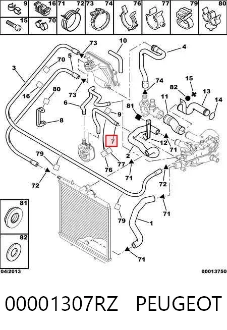 Патрубок системы охлаждения 00001307RZ Peugeot/Citroen
