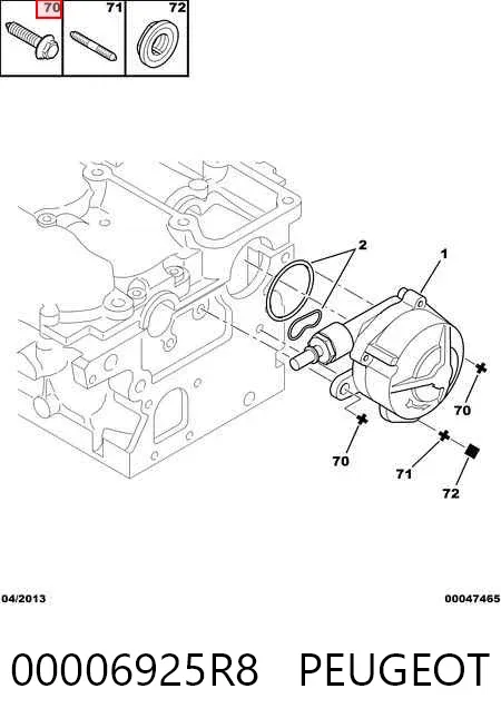  00006925R8 Peugeot/Citroen