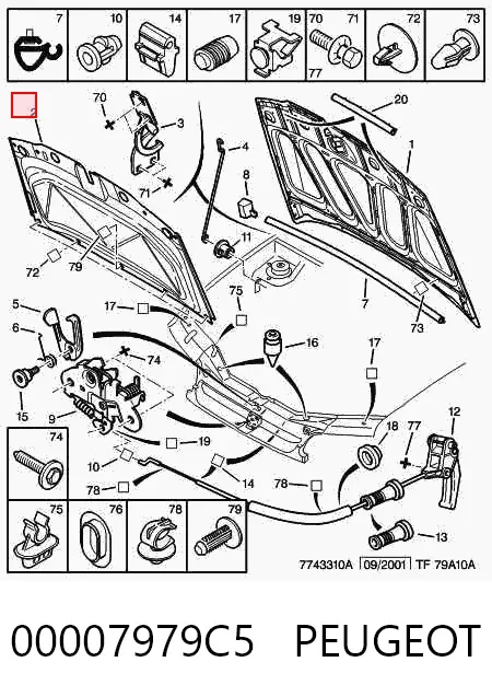 Шумоизоляция капота 00007979C5 Peugeot/Citroen