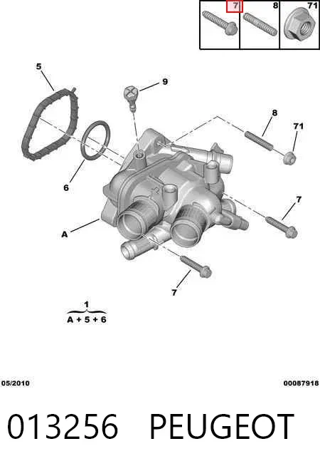  013256 Peugeot/Citroen
