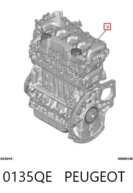 Двигатель 0135QE Peugeot/Citroen