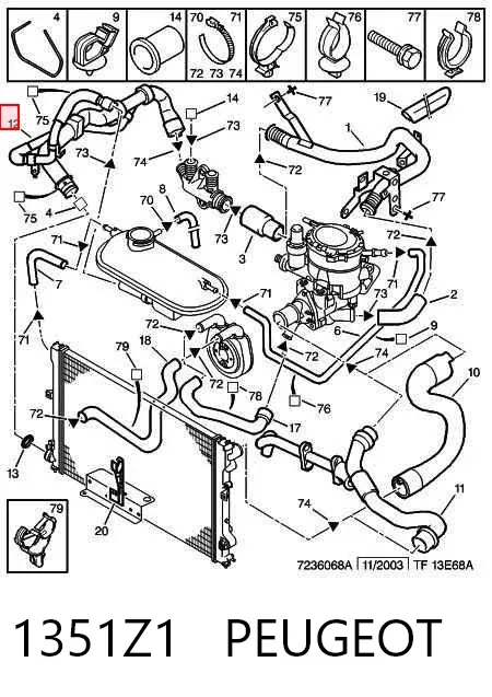 Нижний шлаг радиатора охлаждения 1351Z1 Peugeot/Citroen