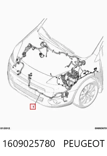  1609025780 Peugeot/Citroen
