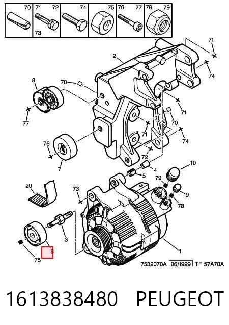Паразитный ролик 1613838480 Peugeot/Citroen