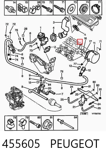 Прокладка вакуумного насоса 455605 Peugeot/Citroen