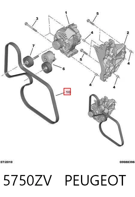 Ремень генератора 5750ZV Peugeot/Citroen