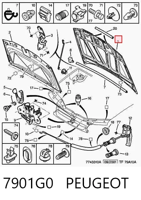 Капот 7901G0 Peugeot/Citroen