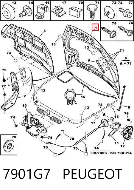 Капот 7901G7 Peugeot/Citroen