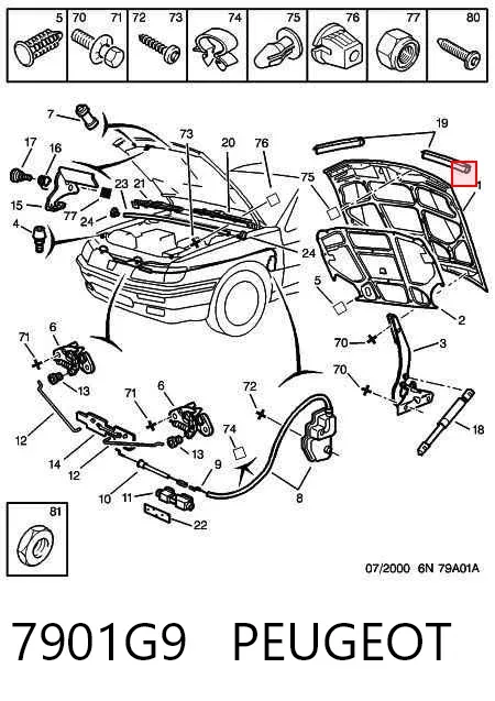 Капот 7901G9 Peugeot/Citroen