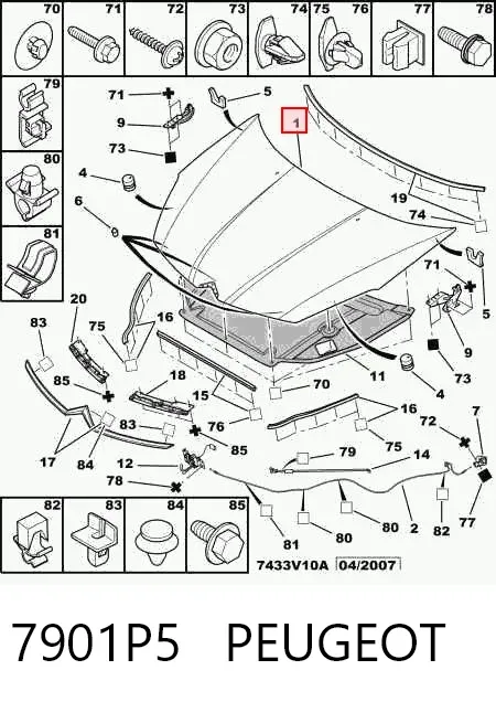 Капот 7901P5 Peugeot/Citroen