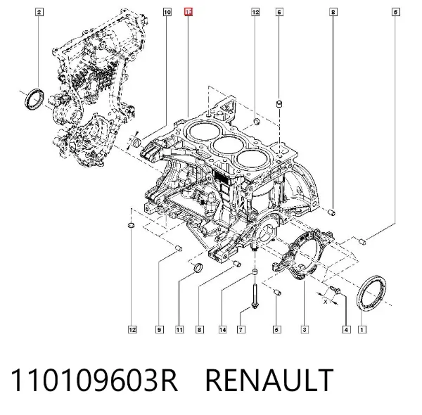 Блок цилиндров двигателя 110109603R Renault (RVI)